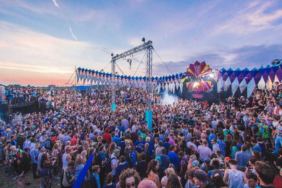 BLUE TIT DOES FESTIVAL SEASON