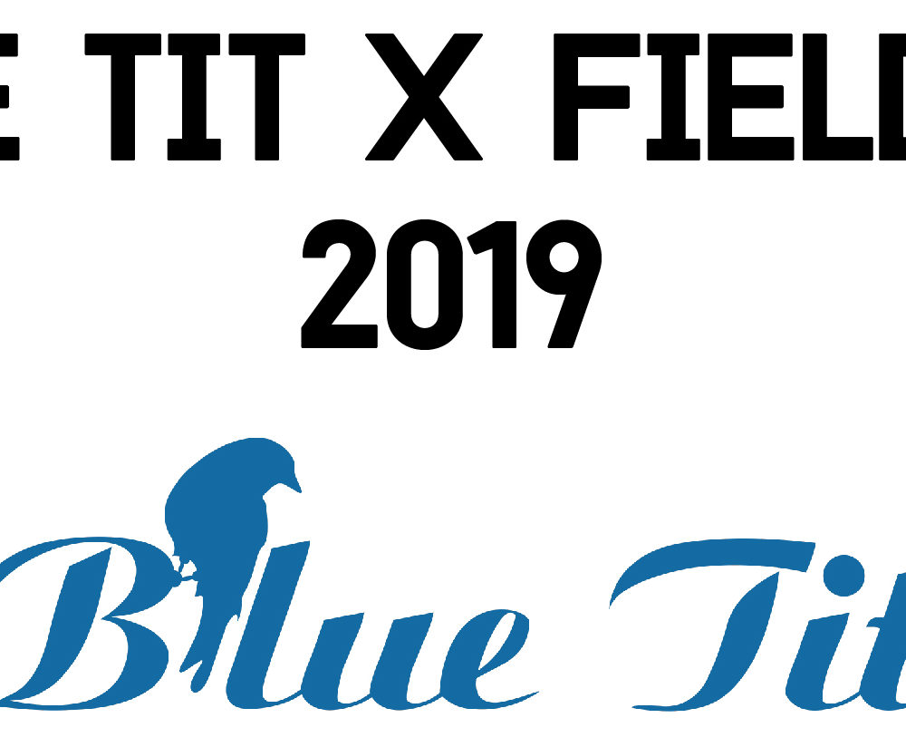 #BlueTitBraidBar x Field Day 2019