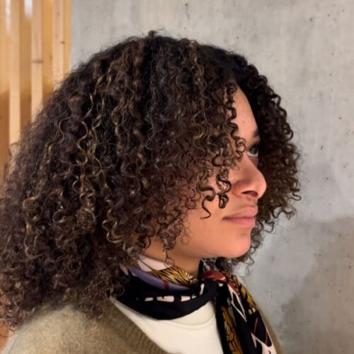 Highlights - Mocha Colour by Cille East Village Blue Tit