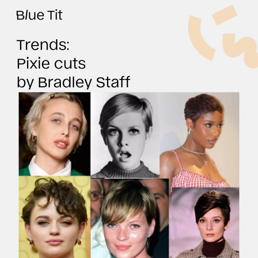 Pixie Cut Transformations from Bradley Staff