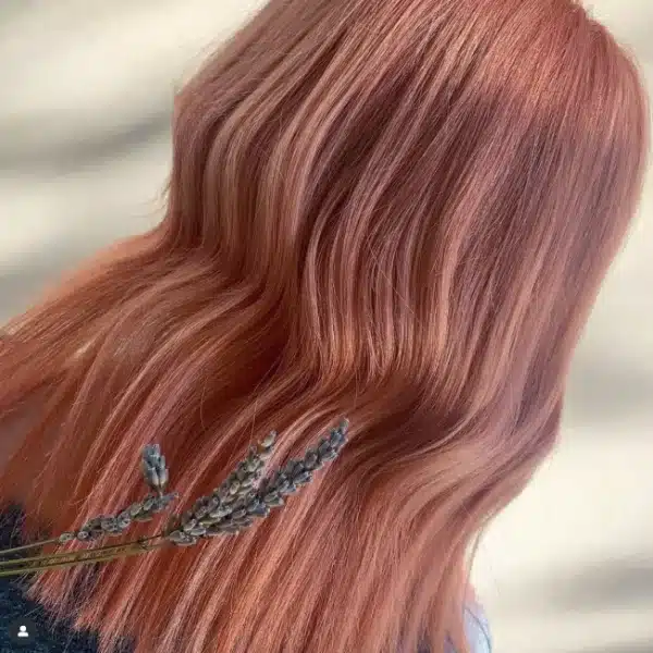 Pastel copper by Aimee, Blue Tit Leyton